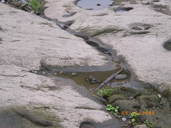 smooth rocks in river bed