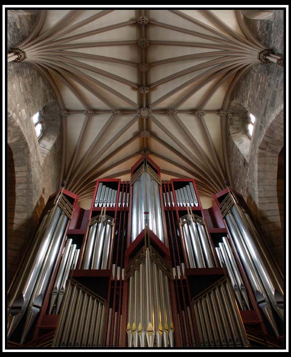 St. Giles Ceiling & Organ Pipes