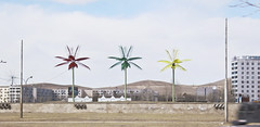 Palm trees in Mongolia