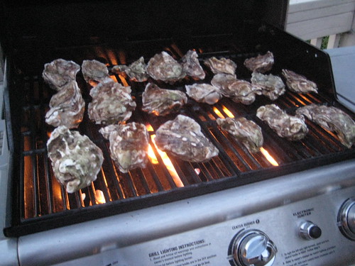Grilling Oysters