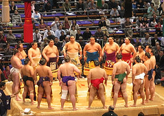 Sumo Nation