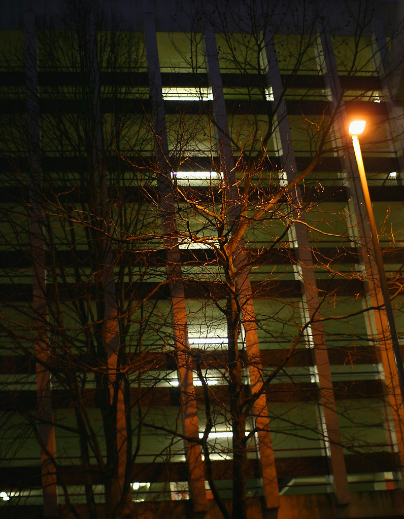 Urban tree