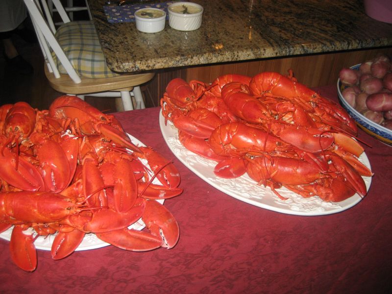 Lobsters for 110