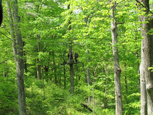 Hocking Hills Ohio Zipline Canopy Tours 3