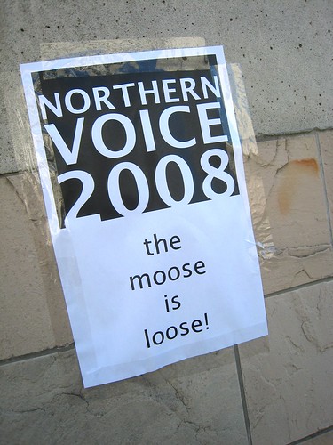 I Saw the Moose