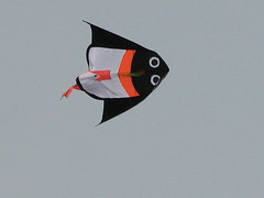 20080210-企鵝風箏-15