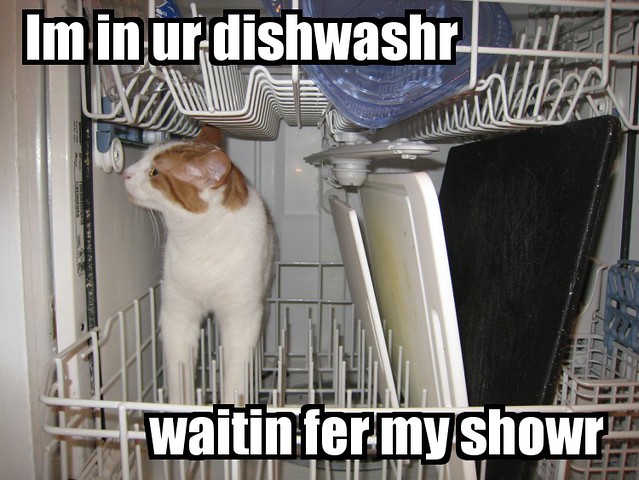 In ur dishwashr