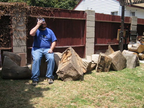me and some huge Eucalyptus logs