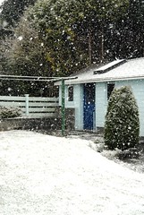 Snow, December 1