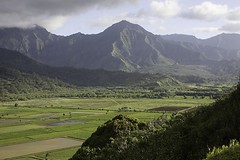 Hanalei Valley, Kauai