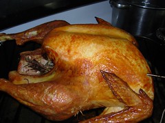 My turkey