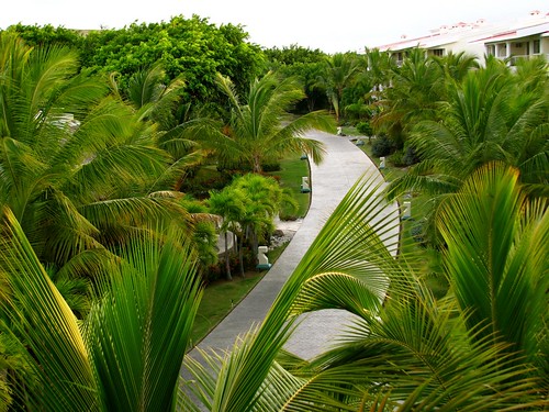 Punta Cana: July 2009