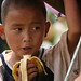 Banana eater - China