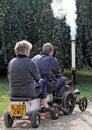 Steam in the gardens, Exbury