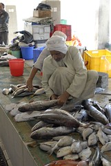 Oman, fish market (_DSC0037)