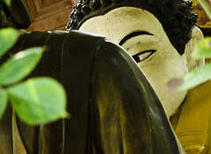 Hiding behind the buddha