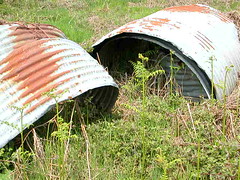 2   pig pens by Thorntons land