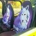 wolf seats