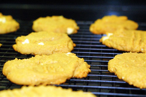 Baking - PB Cookies - 10-7-07 (5)
