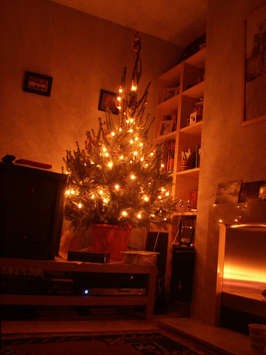 Christmas (Solstice) Tree :)
