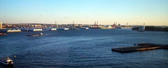 South Brooklyn and the Verrazano-Narrows Bridge from Gouverner Lane