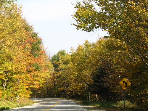 New Hampshire foliage