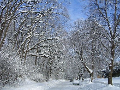 Wisconsin, winter of '08
