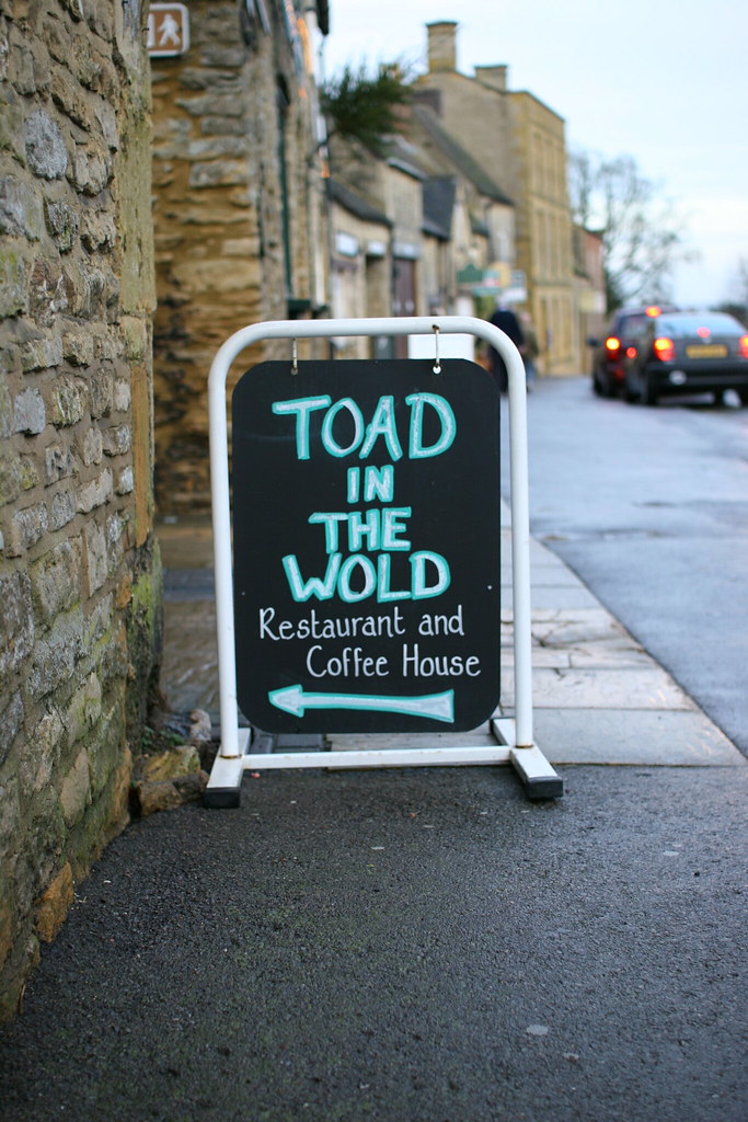 toad in the wold