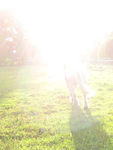 Sunwards 4