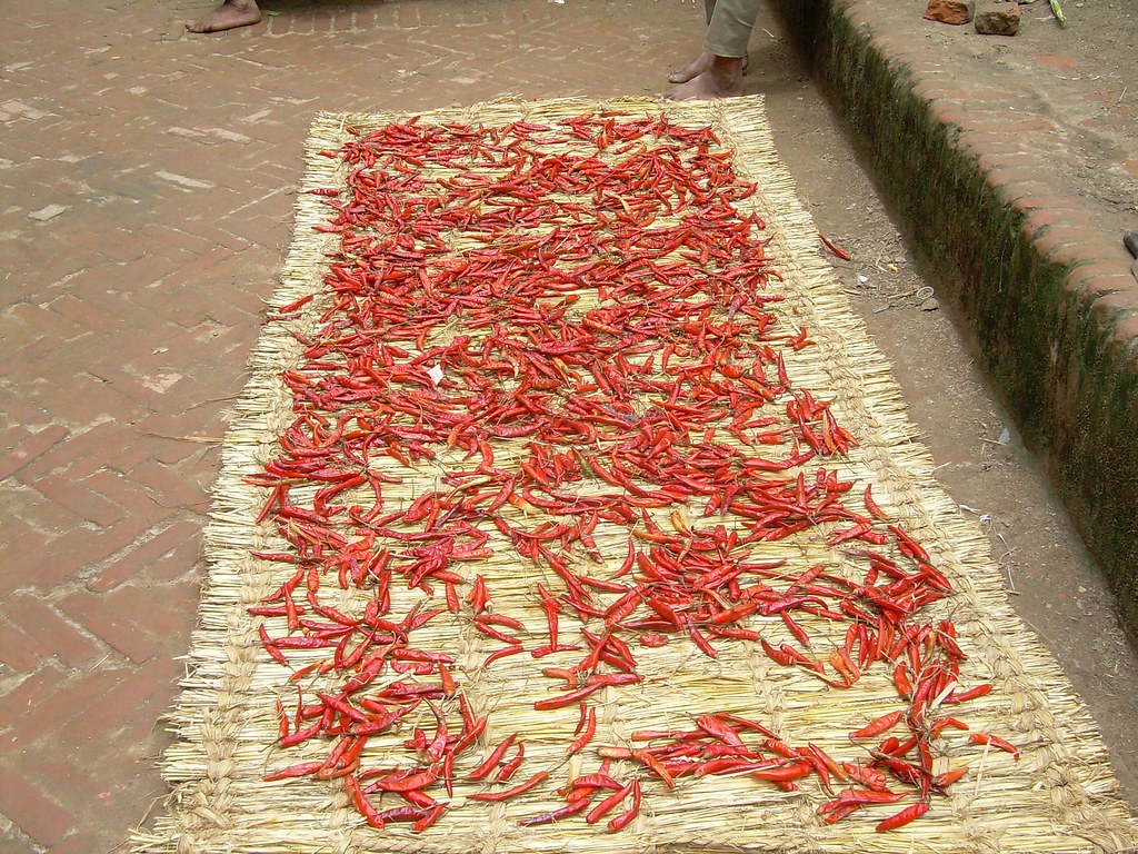 Secando guindillas rojas en Kathmandú