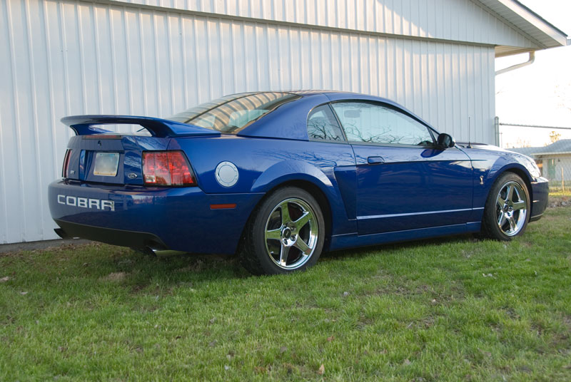 Need Rear Pics of Roush Spoiler (99-04) | SVTPerformance.com