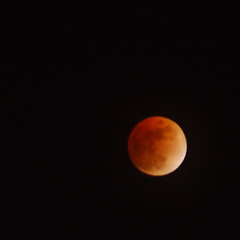 Lunar eclipse - 24