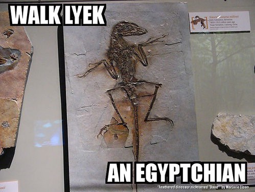 walk lyek an egyptchian