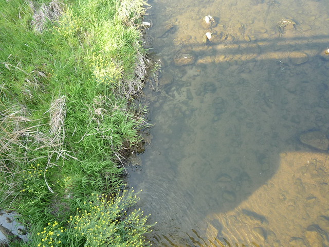P1000242