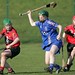 Camogie 334