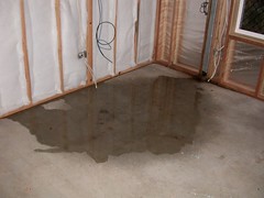 Puddle in the Front Room Under our House