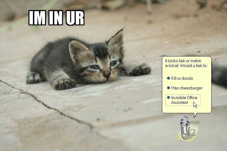Klipkitten!