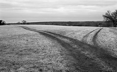 Fieldtracks • <a style="font-size:0.8em;" href="http://www.flickr.com/photos/87605699@N00/2114100005/" target="_blank">View on Flickr</a>