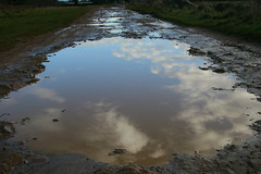 Sky, puddle, path