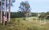 Lot 212, Royal Ave, Medowie NSW