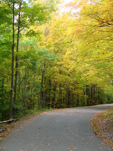 Road up Mt. Philo