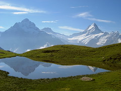 Wetterhorn + Schreckhorn ( Berg - Mountain ) spiegeln sich im Paradisseeli im Berner Oberland im Kanton Bern in der Schweiz