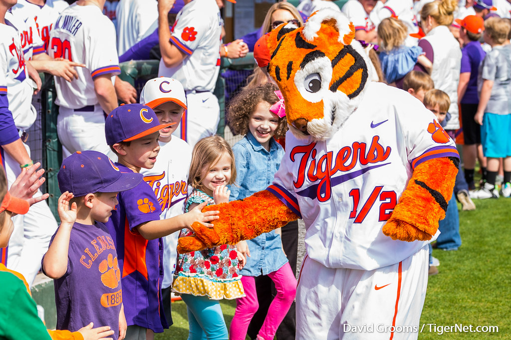 Clemson Baseball Photo of Tiger Cub and wrightstate