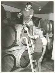 Cabernet Sauvignon maturing in oaken casks in the Babich brothers cellars at Henderson. Joe (above) and Peter Babich take a sample for testing