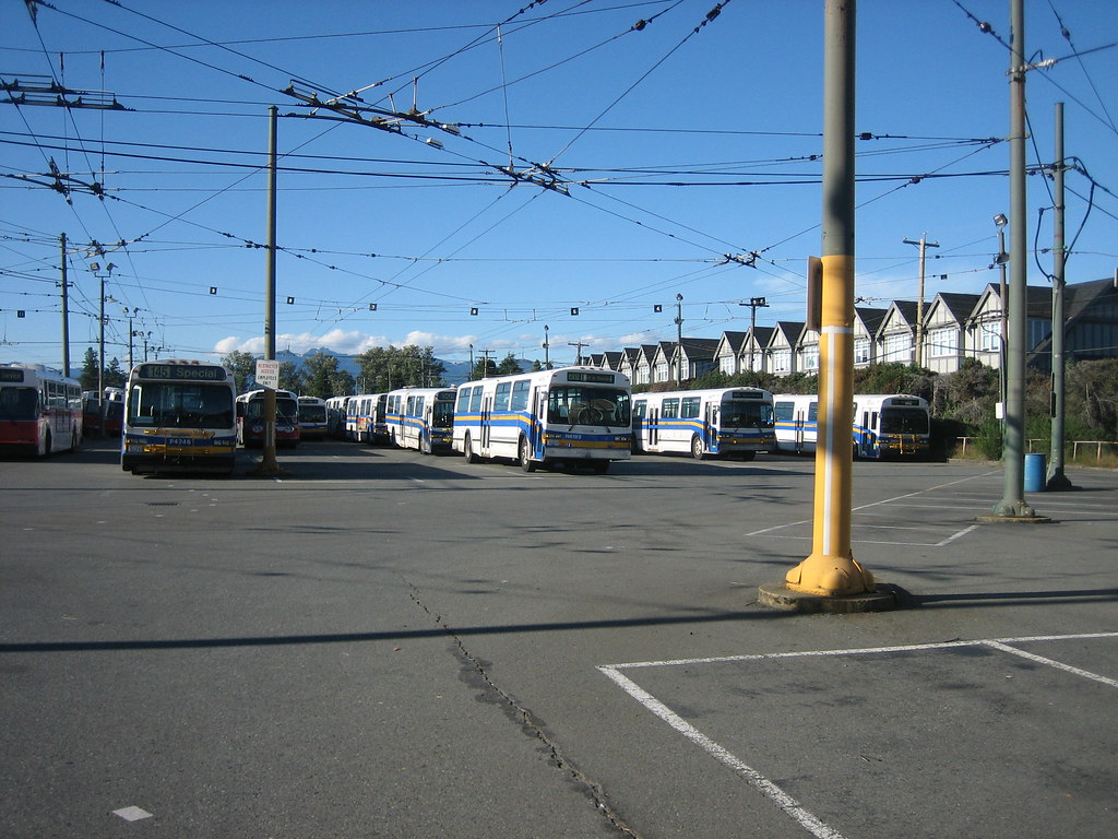 Buses stored at OTC