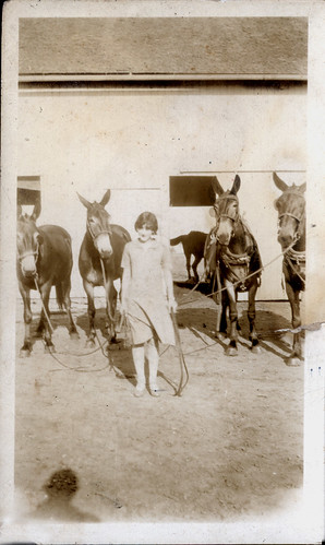 one girl and four mules