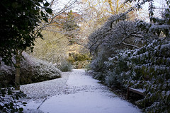 Victoria Park in snow