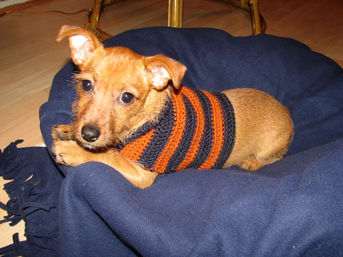Rustic fall sweater