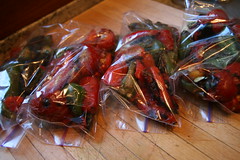 chiles in baggies