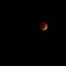Lunar eclipse - 40